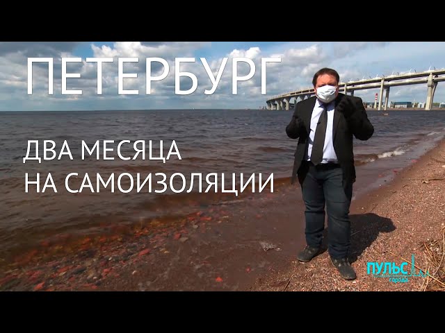 Петербург: два месяца на самоизоляции