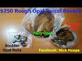 Nick Hoops $250 Rough Opal Parcel Review Fairy and Boulder Opal