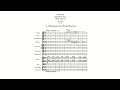 Miniature de la vidéo de la chanson Symphony No. 1 In G Minor, Op. 13 “Winter Daydreams”: I. Allegro Tranquillo