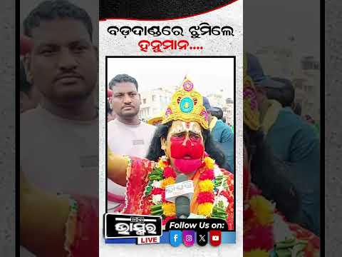 ମହାପ୍ରଭୁଙ୍କ  ଘୋଷଯାତ୍ରାରେ ଝୁମିଲେ ହନୁମାନ .... #shorts #trending #odisha