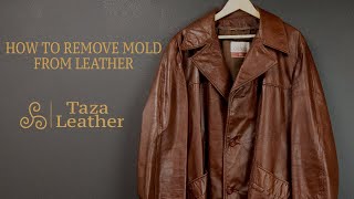 Celebrity How to Remove Mold From Leather | Clean Leather 100% Naturally | Taza Leather _ How To Tutorial Wealth