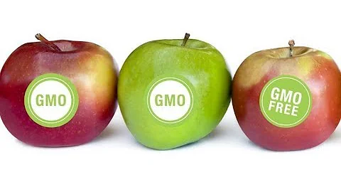7 GMO Foods You Never Knew About Until Now
