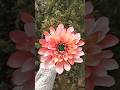 How to make Dahlia flower| DIY dahlia flower| #shorts #viral #craft #diy