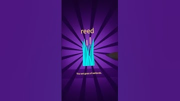 Little Alchemy 2- How to make Reed 🪸#shorts #viral #shortsviral #gameplay #butter