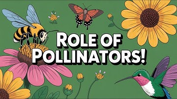 The Role of Pollinators in the Ecosystem