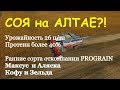 Выращивание СОИ на Алтае/Какой сорт выбрать?/Максимальная прибыль с гектара