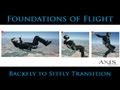 Axis foundations of flight  backfly to sitfly transition