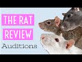 The rat review auditions