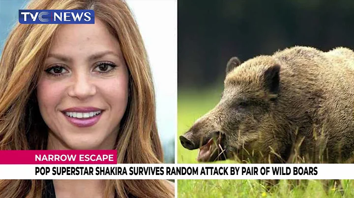 Pop Star, Shakira Survives Random Attack By Pair Of Wild Boars