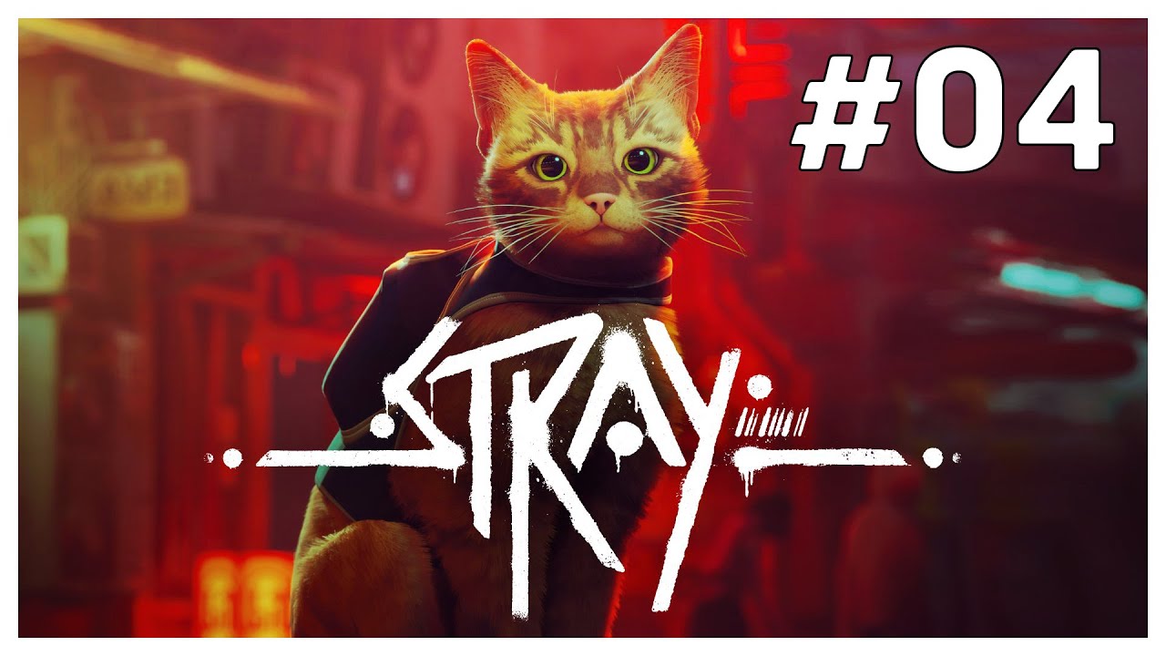 IO & B-12 ALLA RICERCA DI DOC!  | Stray - ep.04