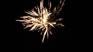 dancing red devil  terminator firework