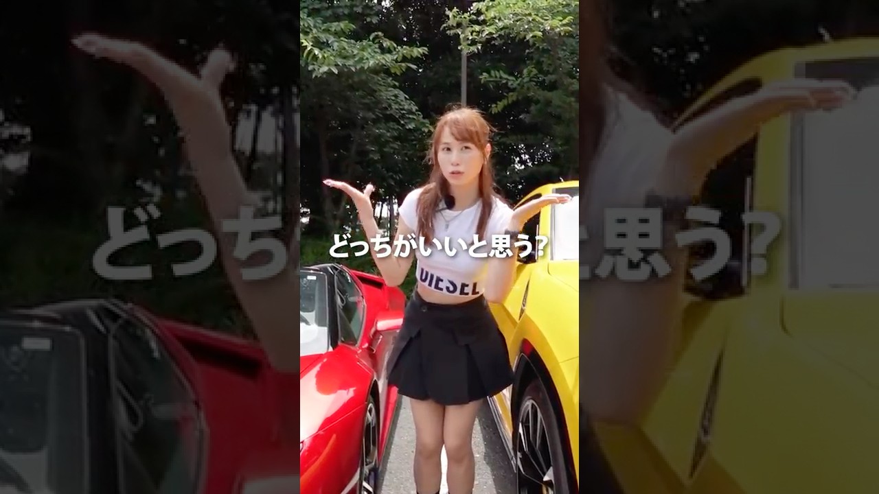 【違法改造ダメ!ゼッタイ】話題のランボルギーニを買うならどっちがいい?
