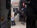 King’s Guard lets the Special Child Stroke the Horse! What Guard Does is Priceless! #Shorts