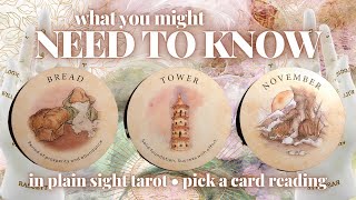 PICK A CARD: 🧐 WHAT YOU MIGHT NEED TO KNOW AT THIS TIME 🤓