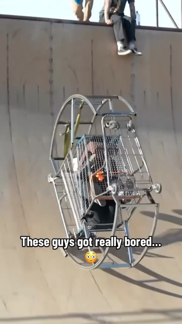 What would you call this contraption? ??
