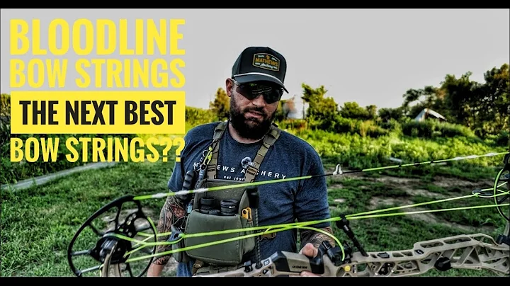 BLOODLINE bow strings the next best bow strings??