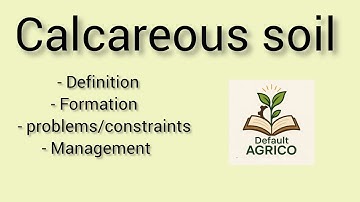 "Calcareous Soils: Formation, Problems & Effective Management Explained"