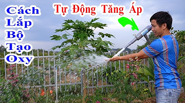 cách lắp bộ tạo oxy tự động cực dễ dàng, cách tăng áp tự động bằng bộ trộn oxy, tạo oxy cho bể cá