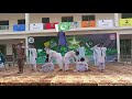 "Pakistan Zindabad", Har Dil ki Awaz Best Tablo FC College Sui