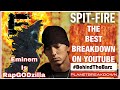 BEHIND THE BARZ WITH SCRIPTWORK | EMINEM - GODZILLA IN DEPTH BREAKDOWN