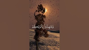 قرآن كريم بصوت جميل #قران_كريم #اكسبلور #quran #راحة_نفسية