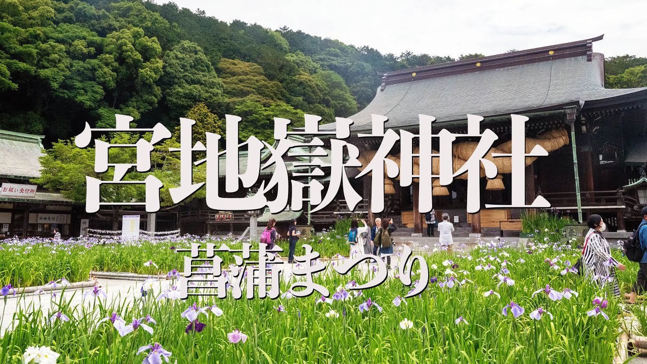 【福岡旅】宮地嶽神社の菖蒲まつり　江戸菖蒲と紫陽花　奥の宮八社巡り　宮地浜　【4K】