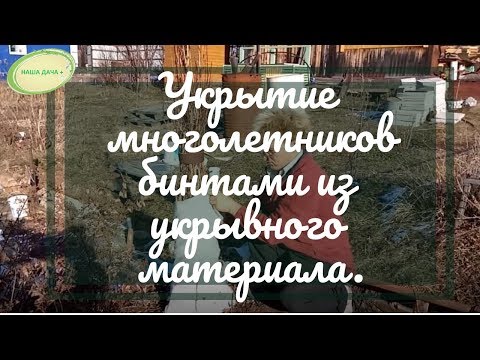 Как укрыть на зиму многолетники бинтами из укрывного Ефимов Игорь
