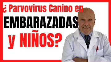 ¿Pueden los perros contagiar la parvo a los humanos?