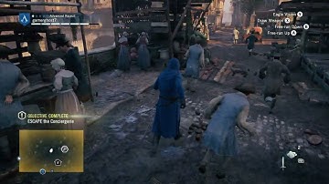 what the bug is this in assassin creed unity