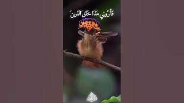 هذا خلق الله فأروني مذا خلق الذين من دونه  |#تلاوة قديمة للشيخ#سعود_الشريم حفظه الله