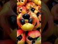 Ackee,Jamaica national fruit! #garden #fruit #nature #ackee