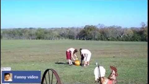 Funny Video  Pumpkin Explosion FAIl