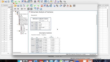 Psy205 - Lab 3 Demo - Factorial ANOVA