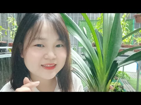 E TRANG CHIA SẺ PHI ĐIỆP ,KIẾM ĐẸP 0963153061
