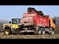 Mercedes agrotruck  komatsu wa 250 am mist streuen 4k