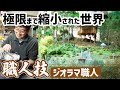 【職人技】ジオラマ職人が作り出す超リアルな自然風景に圧倒!the ultra-realistic natural scenery created by diorama craftsmen