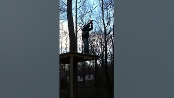 Zip Line From Treehouse