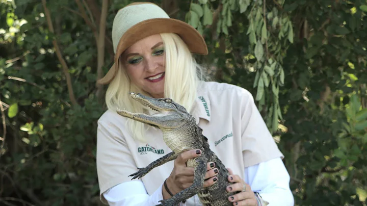 The Crocodile Queen