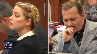 Johnny Depp's Former Psychiatrist & Amber Heard's Former Talent Agent Testify (Depp v Heard Trial)