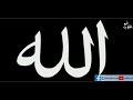حضرة يا قلبي ثق بالله أوصيك بتقوى الله ياظاهر بالمظاهر المنشد ياسين علاف ١١ mp3