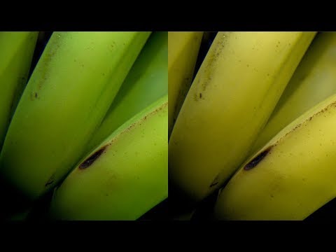 Video: Jak ethylen ovlivňuje zrání ovoce?