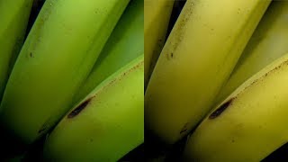 How Supermarkets get Fruit to Ripen Faster | Earth Lab