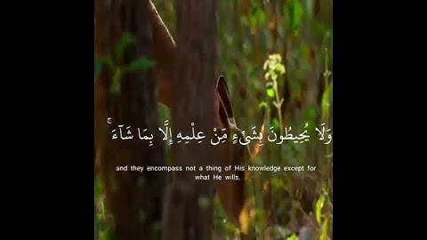 اجمل حالات واتس اب دينيه💞اسلام صبحي أية الكرسي تلاوة مؤثرة