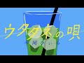 平岡ひぃら - ウタタネの唄 (Official Video)