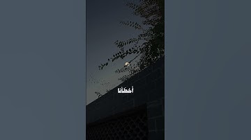 تلاوة خاشعة من سورة البقرة للقارئ علي جابر🤍