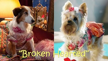 “Broken Hearted”