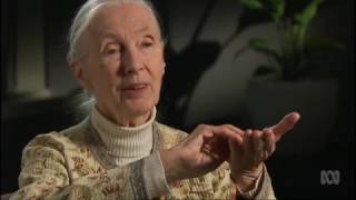 Dr Jane Goodall | Chimps and Conservation