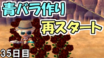 とび森 青いバラ 作り方