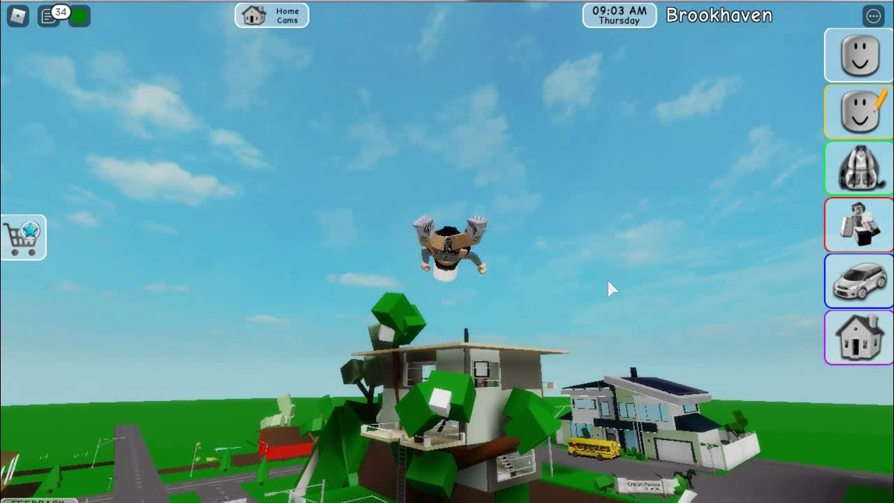 как летать в роблоксе в брукхейвен. как летать в брукхейвен. фото скина в брукхейвен. летать в роблоксе. обнова брукхейвен 2024.