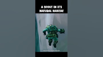 A Scout In It